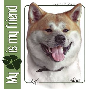 AKITA INU 01 - Nalepka 14x14cm