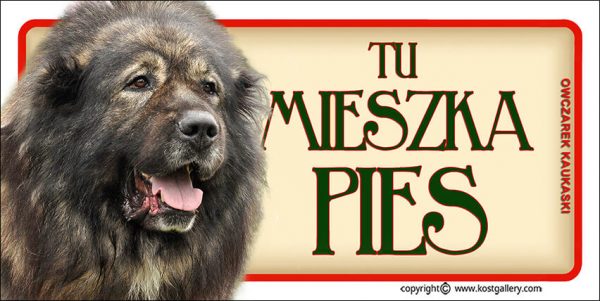 CAUCASIAN SHEPHERD DOG 02 - Tabliczka 18,5x9,5cm