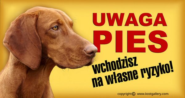 HUNGARIAN SHORT_HARED POINTING DOG 01 - Tabliczka 28x15cm