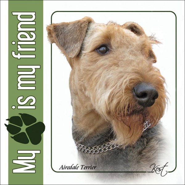 AIREDALE TERRIER 01 - Nalepka 14x14cm