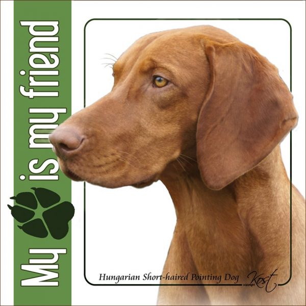 HUNGARIAN SHORT-HAIRED POINTING DOG 01 - Nalepka 14x14cm