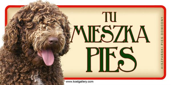 SPANISH WATER DOG - Tabliczka 18,5x9,5cm.jpg