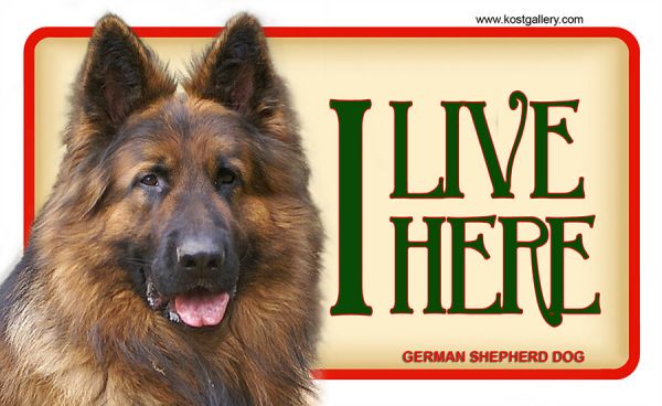 GERMAN SHEPHERD DOG LONG HAIRED – Tabliczka 18x11cm
