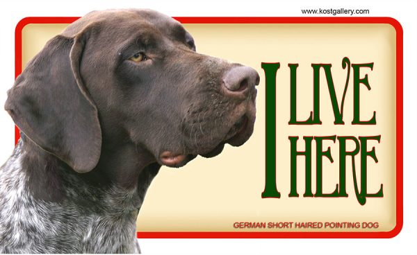 GERMAN SHORT HAIRED POINTING DOG 01 – Tabliczka 18x11cm