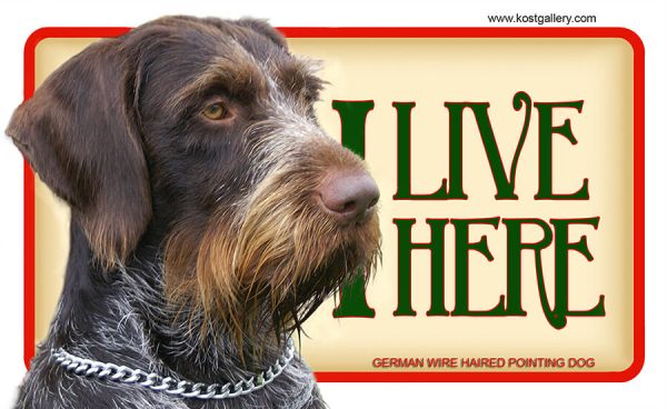 GERMAN WIRE HAIRED POINTING DOG – Tabliczka 18x11cm