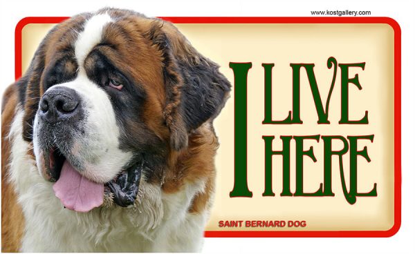 SAINT BERNARD DOG – Tabliczka 18x11cm
