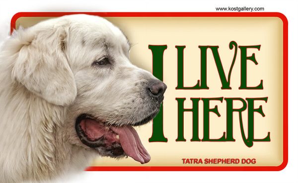 TATRA SHEPHERD DOG – Tabliczka 18x11cm