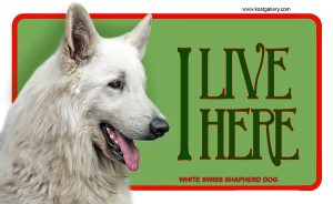 WHITE SWISS SHEPHERD DOG – Tabliczka 18x11cm